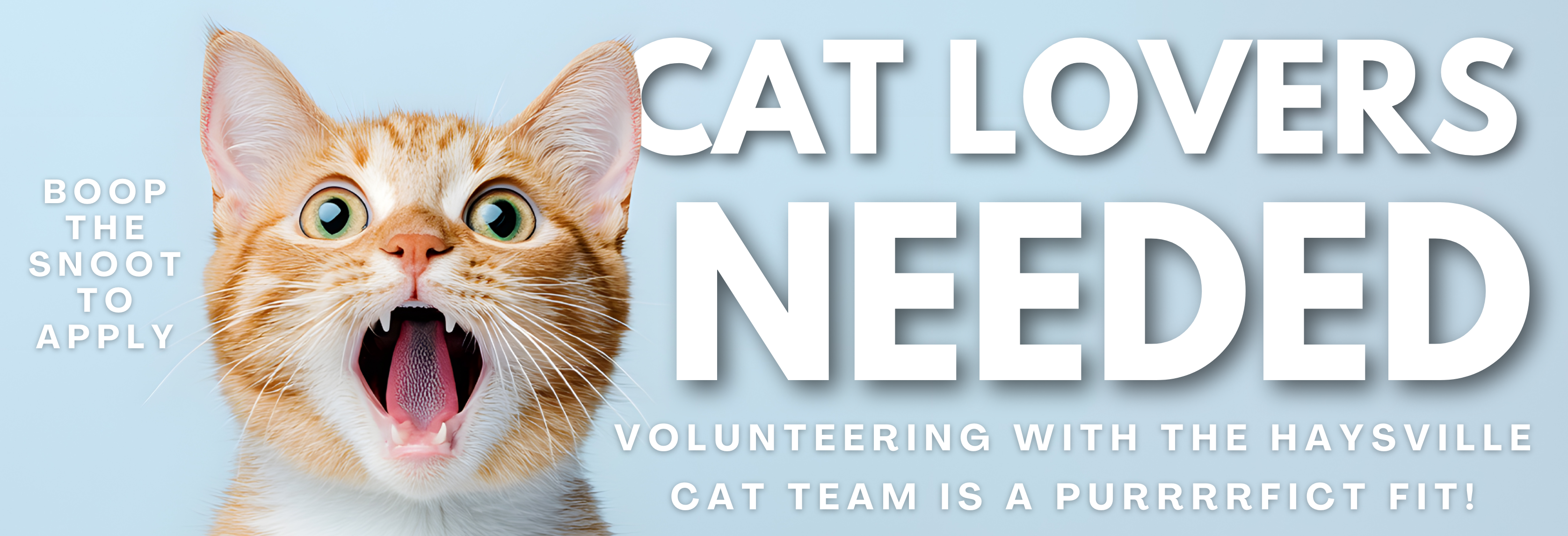 Haysville Volunteers