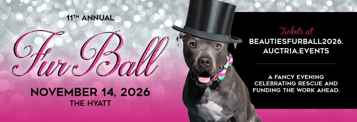 2026 Ball Crawl