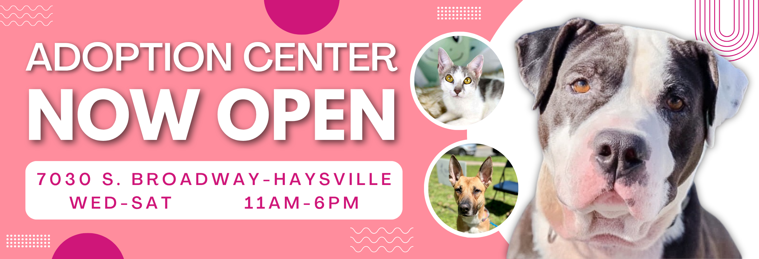 Adoption Center Open
