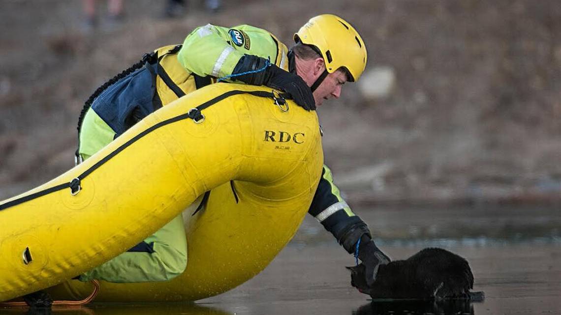 River Dog Rescue